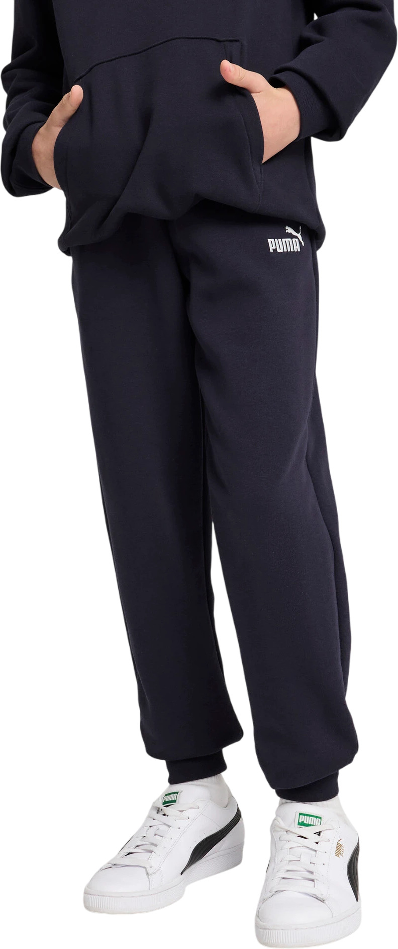 Брюки Puma ESS No. 1 Logo Sweatpants TR B