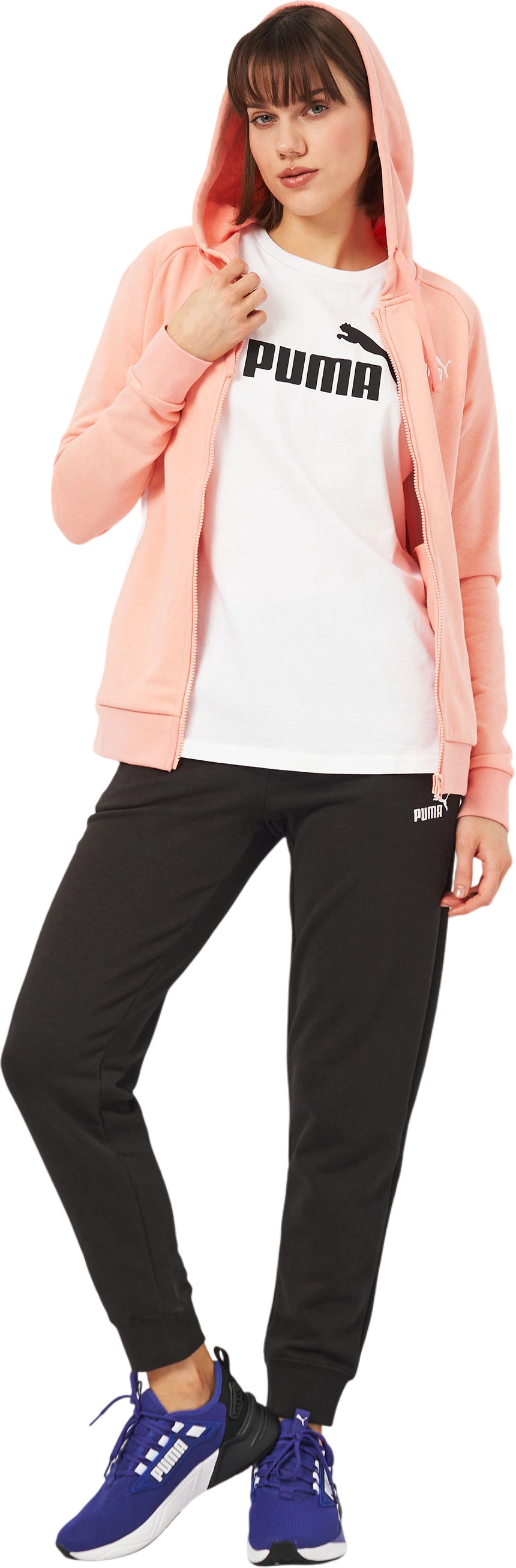 Спортивный костюм Puma Hooded Sweat Suit TR cl