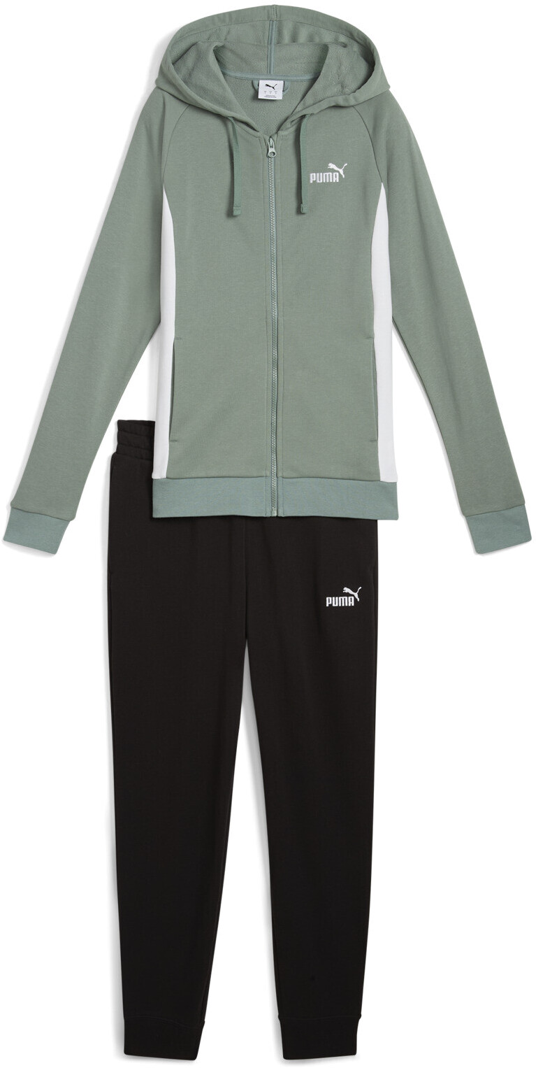 Спортивный костюм Puma Hooded Sweat Suit TR cl