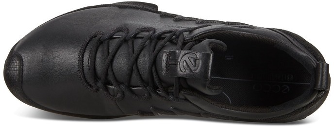 Кроссовки Ecco Biom Aex M