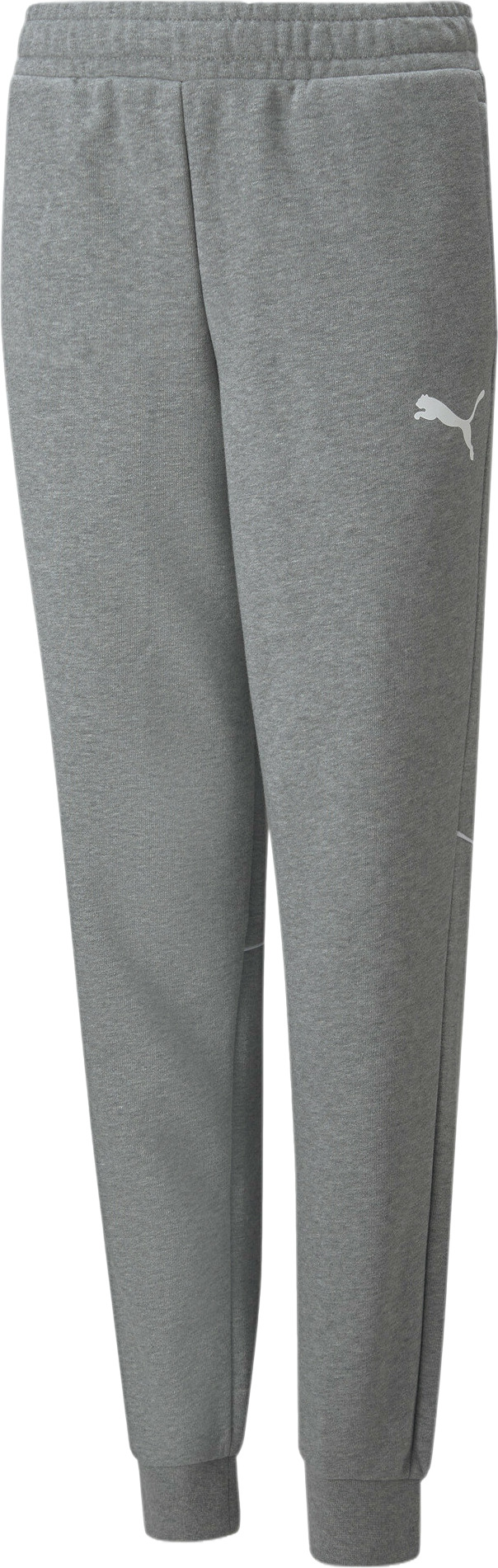 Брюки Puma Active Sports Sweatpants TR B
