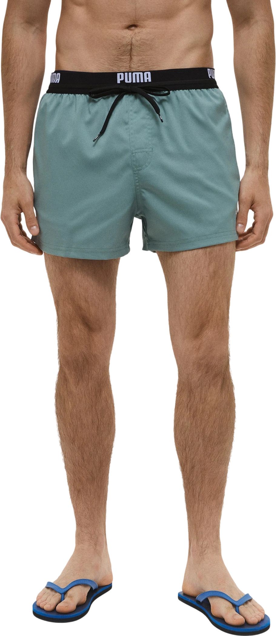 Шорты Puma PUMA SWIM MEN LOGO SHORT SHORTS 1P