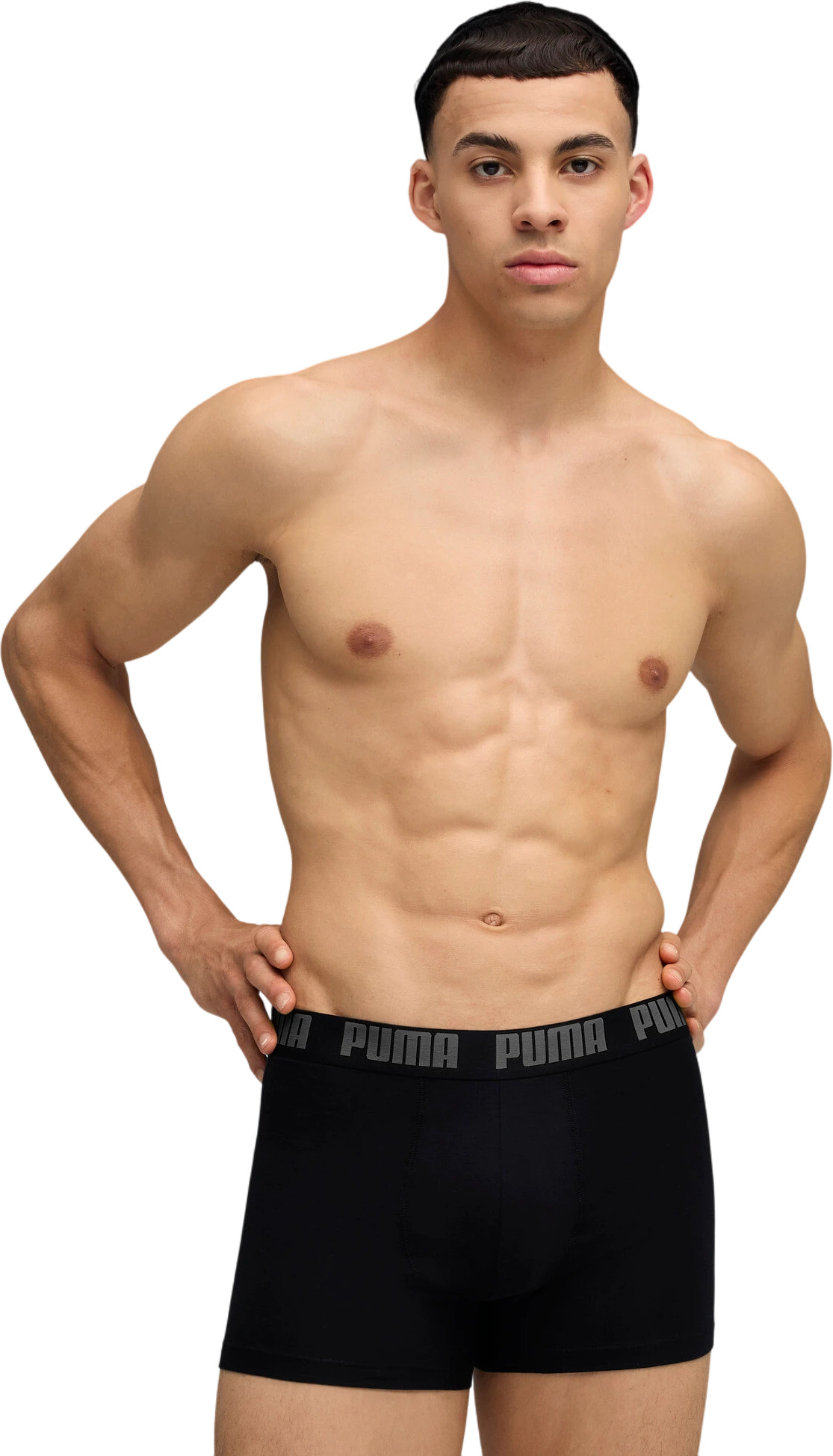 Боксеры (2 шт) Puma Men Everyday Basic Boxer 2P