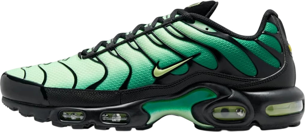 Кроссовки Nike Nike Air Max Plus