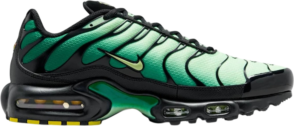 Кроссовки Nike Nike Air Max Plus