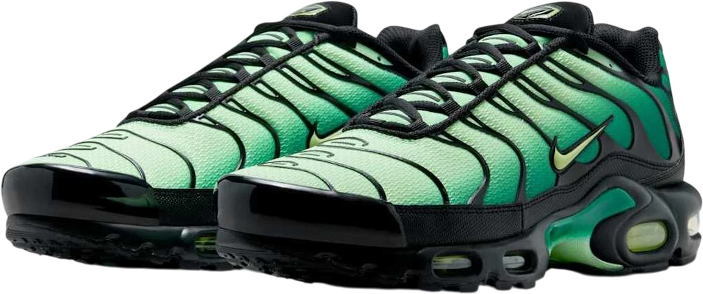 Кроссовки Nike Nike Air Max Plus