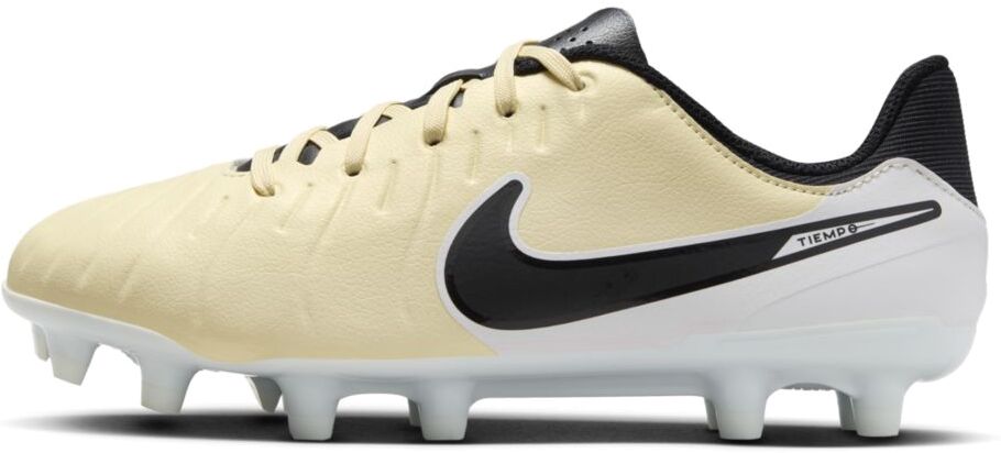 Бутсы Nike JR LEGEND 10 ACADEMY FG/MG