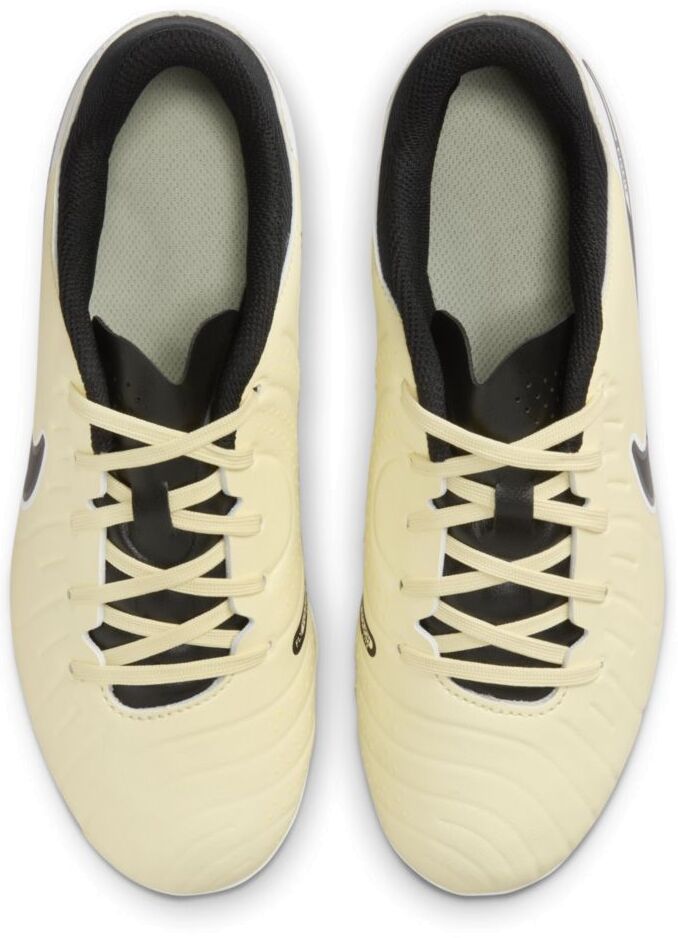 Бутсы Nike JR LEGEND 10 ACADEMY FG/MG