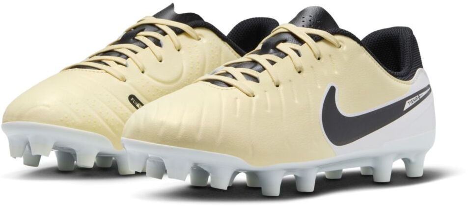 Бутсы Nike JR LEGEND 10 ACADEMY FG/MG