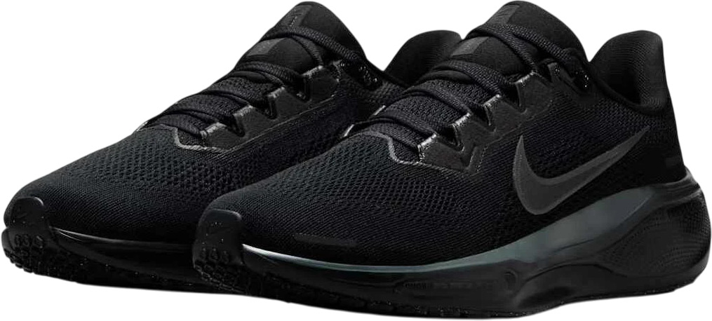 Кроссовки Nike Pegasus 41