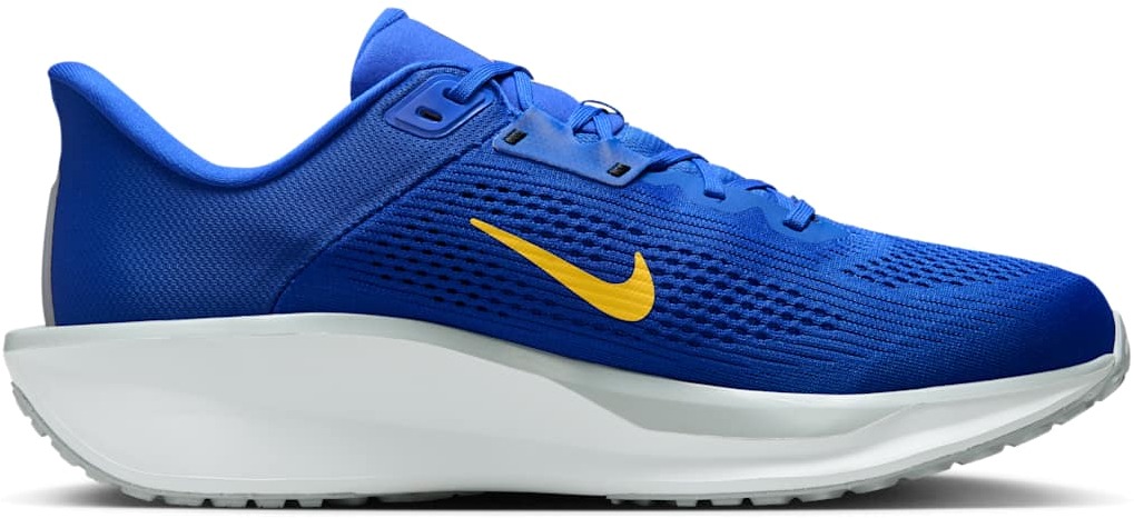 Кроссовки Nike Quest 6