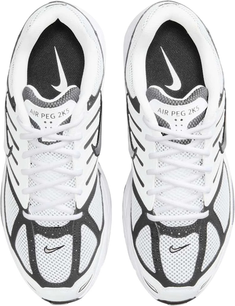 Кроссовки Nike Air Pegasus 2005 C/O