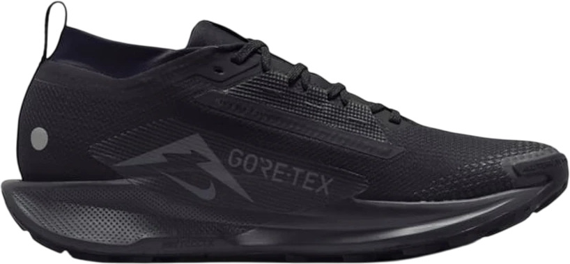 Кроссовки Nike Pegasus Trail 5 GORE-TEX