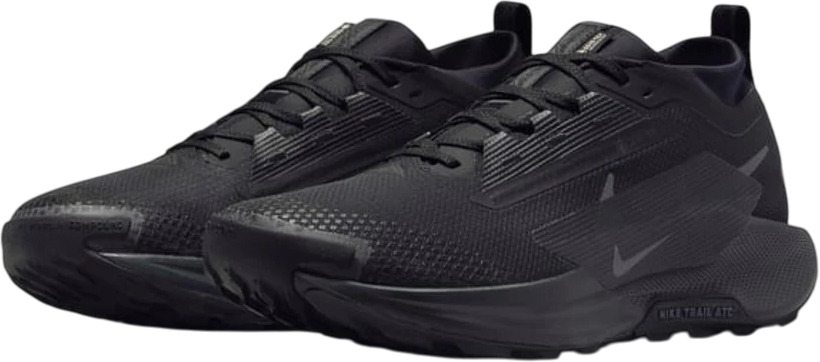 Кроссовки Nike Pegasus Trail 5 GORE-TEX