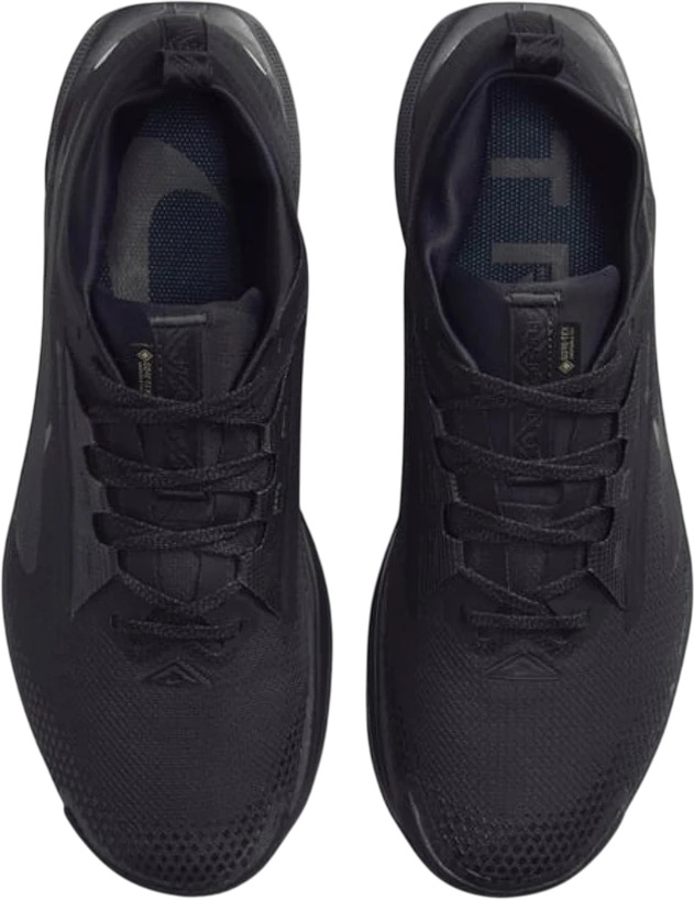 Кроссовки Nike Pegasus Trail 5 GORE-TEX