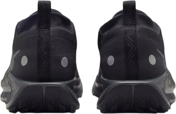 Кроссовки Nike Pegasus Trail 5 GORE-TEX