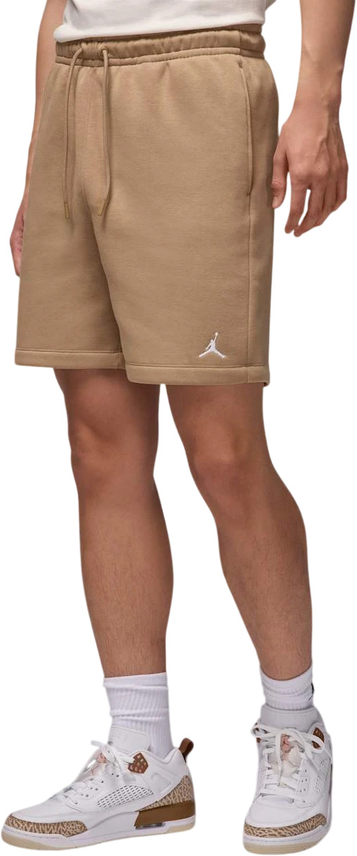Шорты Nike M J BRKLN FLC SHORT