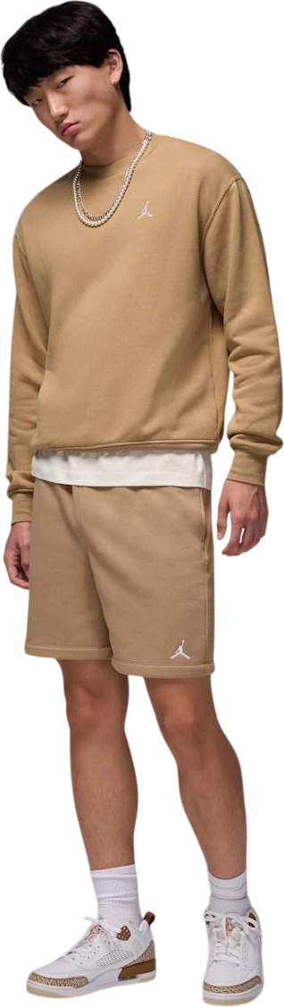 Шорты Nike M J BRKLN FLC SHORT
