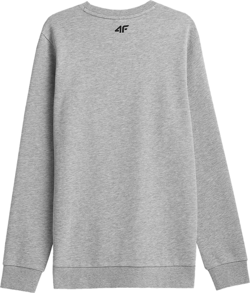 Джемпер 4F MEN'S SWEATSHIRT