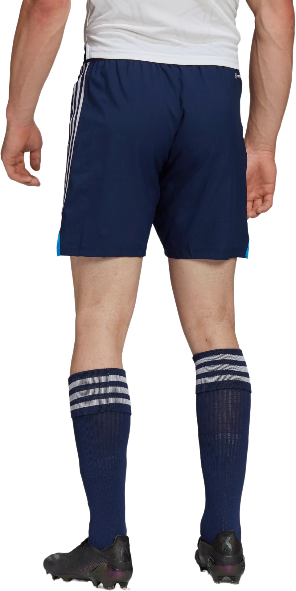 Шорты Adidas CON22 MD SHO