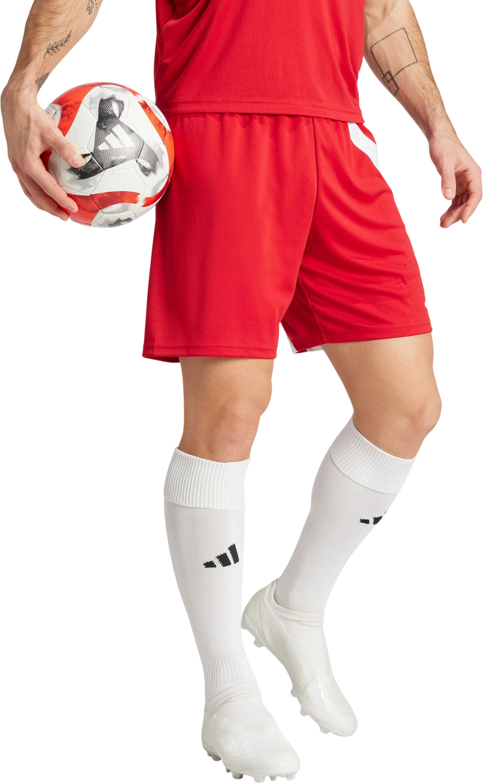 Шорты Adidas FORTORE23 SHO