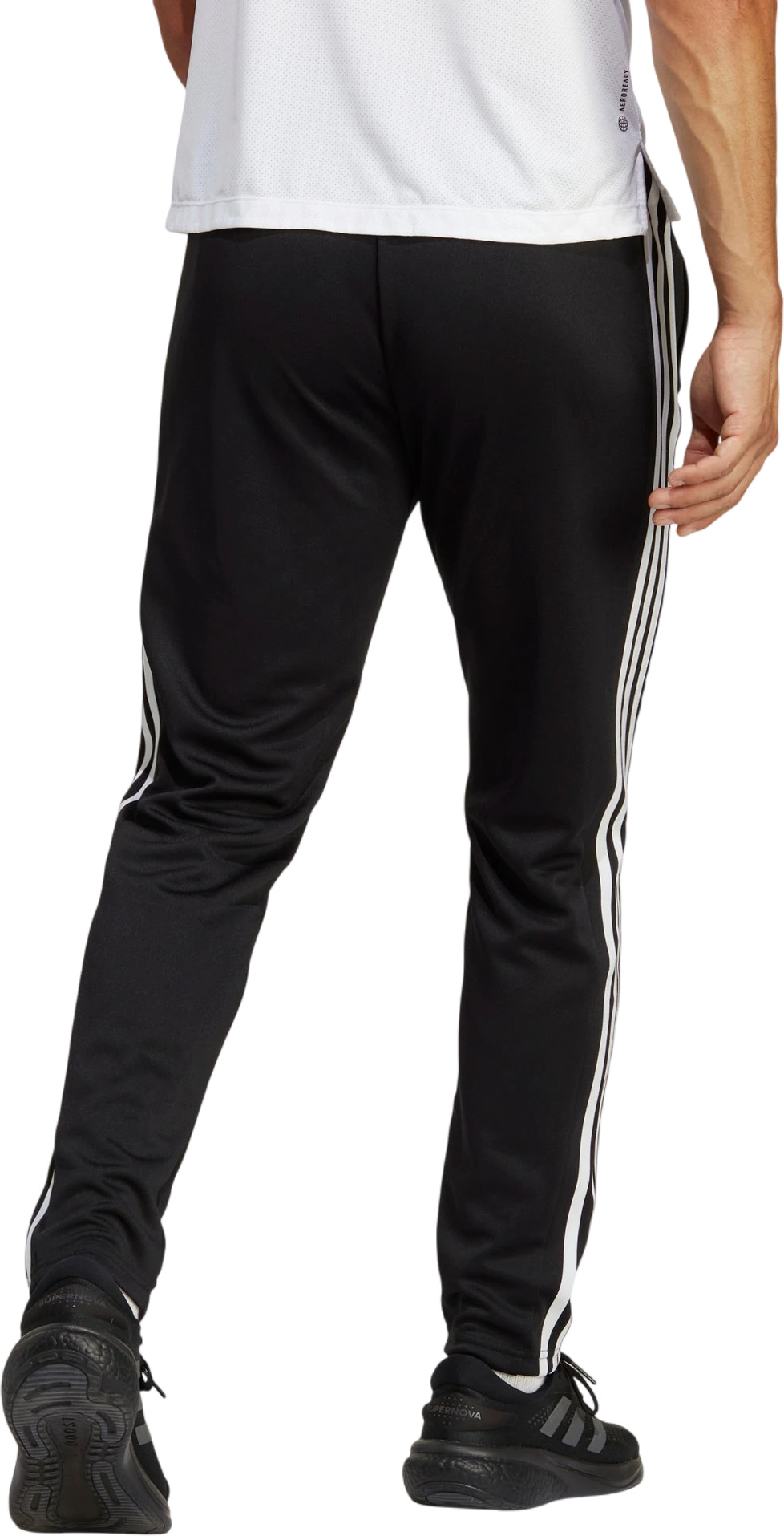 Брюки Adidas Tr-Es Base 3Pt
