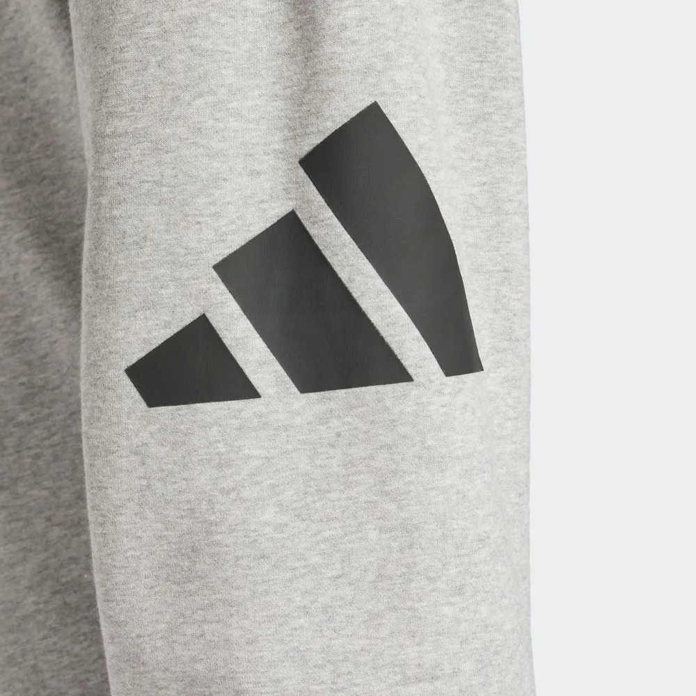 Брюки Adidas M Bl Ft Pt