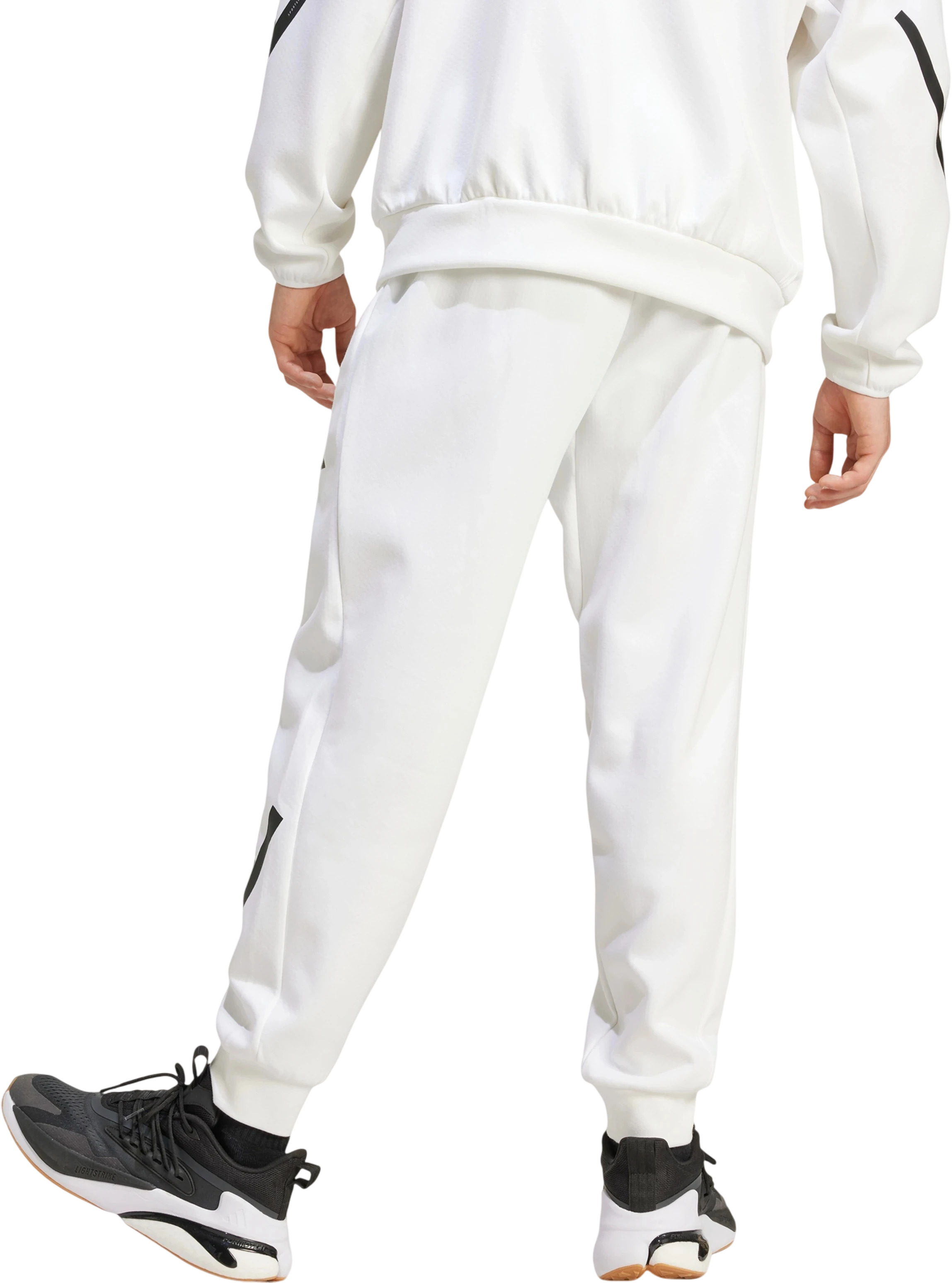 Брюки Adidas M Z.N.E. Pt