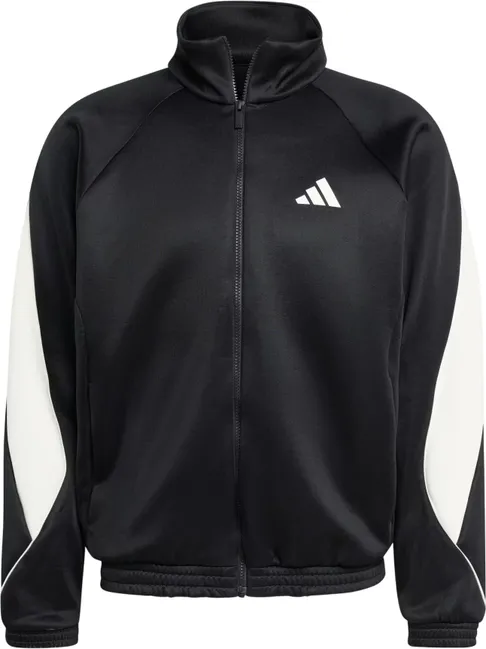 あむ Олимпийка Adidas M STADIUM TT (JN1821) купить за 11199 руб. в