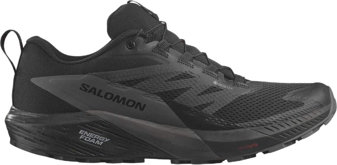 Ботинки Salomon Sense Ride 5 Gtx