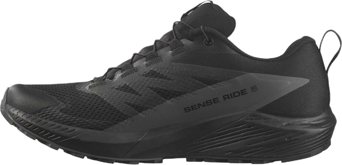 Ботинки Salomon Sense Ride 5 Gtx