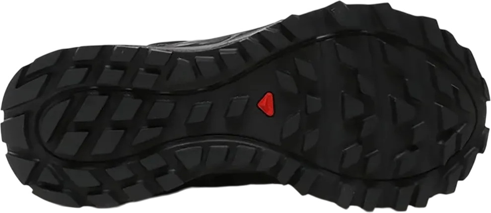 Ботинки Salomon Wander Gtx