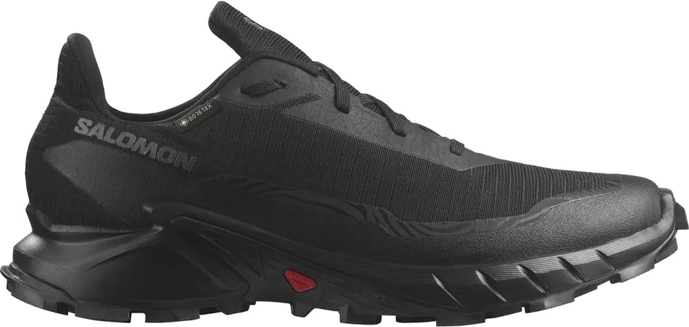 Кроссовки Salomon ALPHACROSS 5 GTX