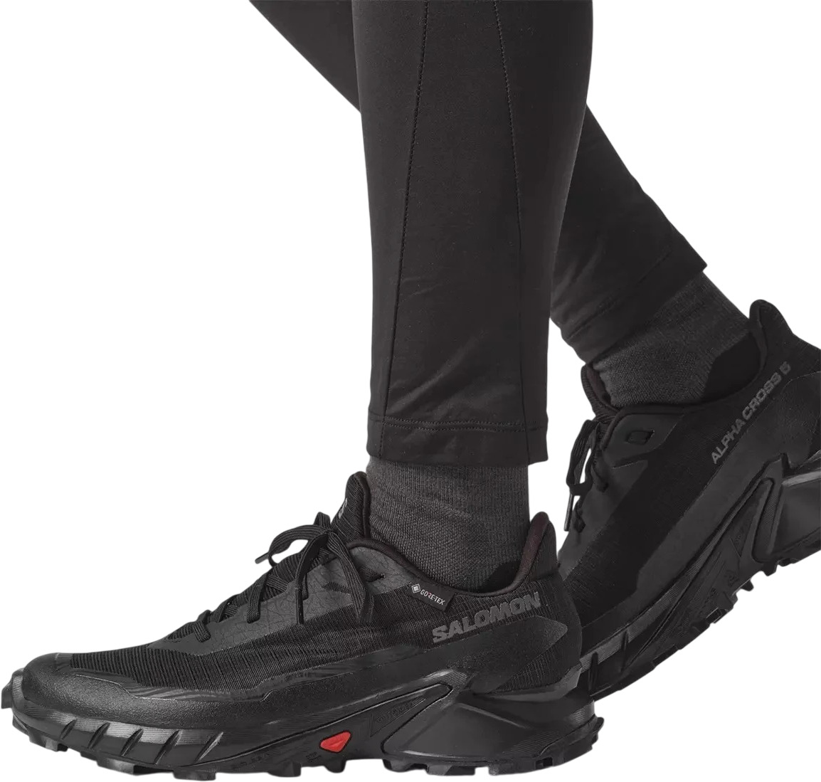 Ботинки Salomon Alphacross 5 Gtx W
