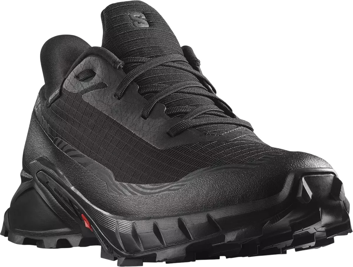 Ботинки Salomon Alphacross 5 Gtx W