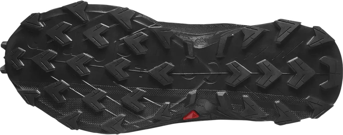 Ботинки Salomon Alphacross 5 Gtx W
