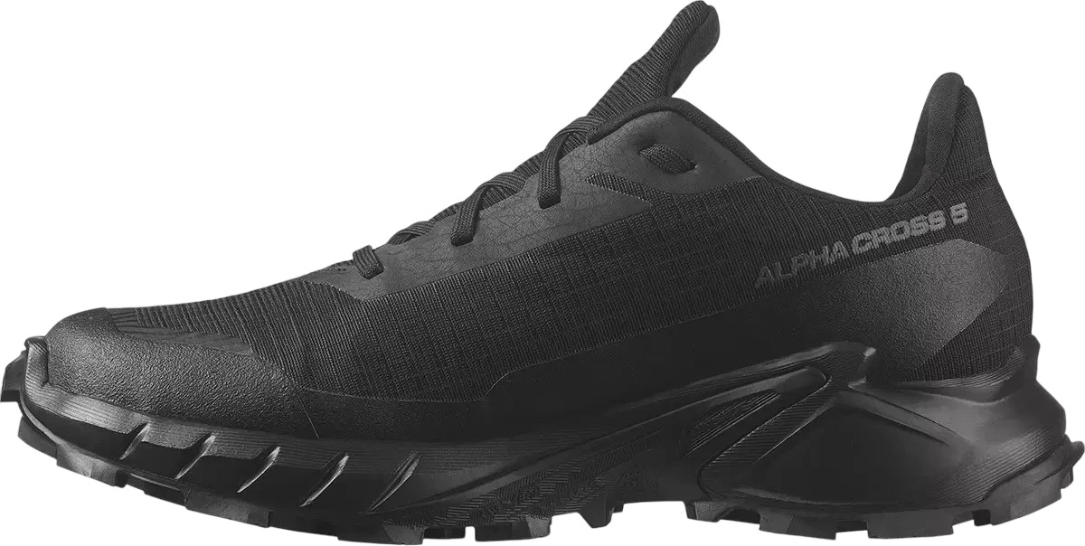 Ботинки Salomon Alphacross 5 Gtx W
