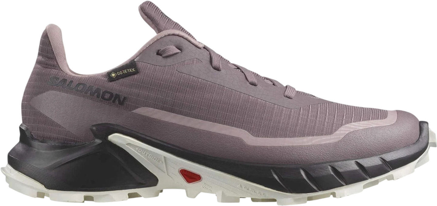 Кроссовки Salomon Alphacross 5 Gtx W