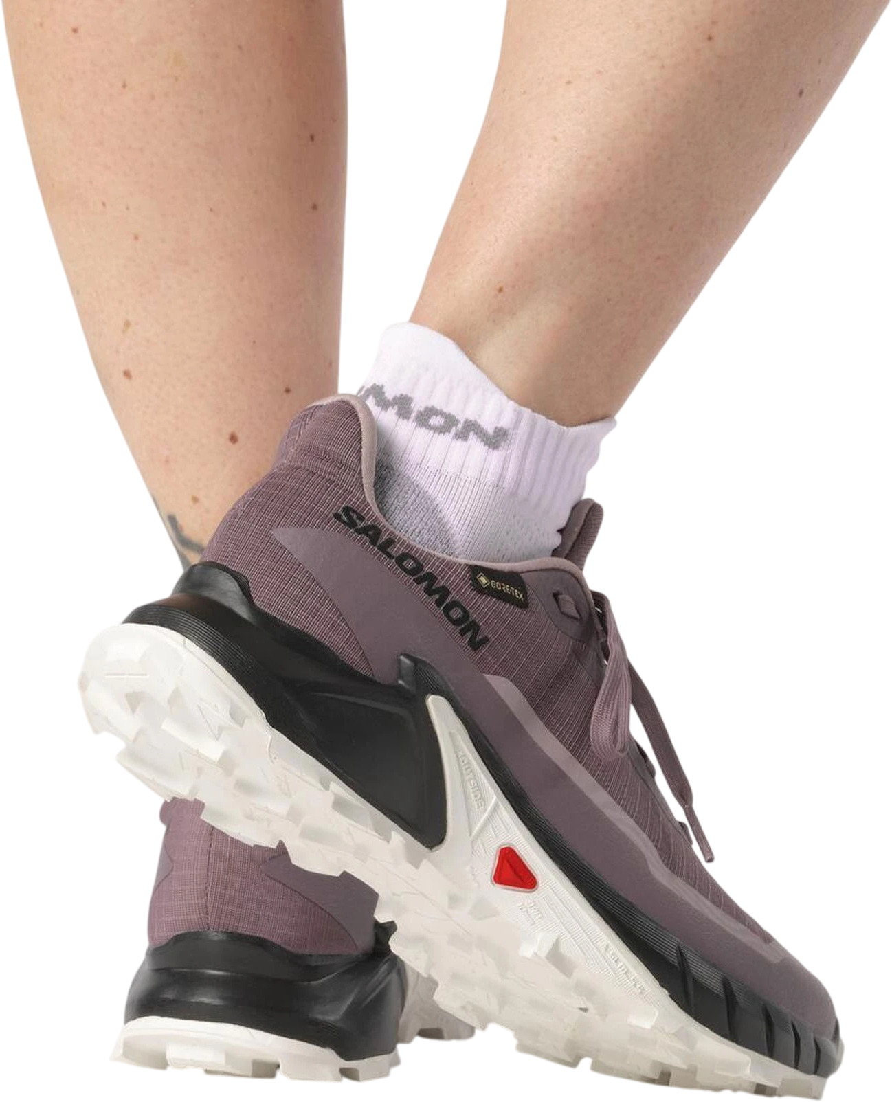 Кроссовки Salomon Alphacross 5 Gtx W