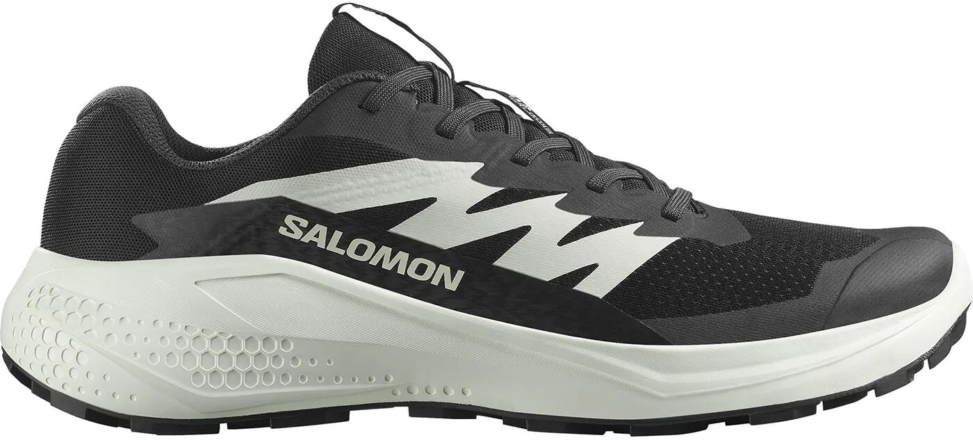 Кроссовки Salomon ALPHAGLIDE