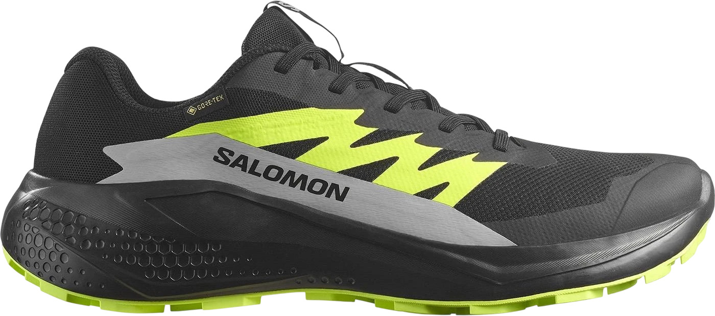 Кроссовки Salomon Alphaglide Gtx