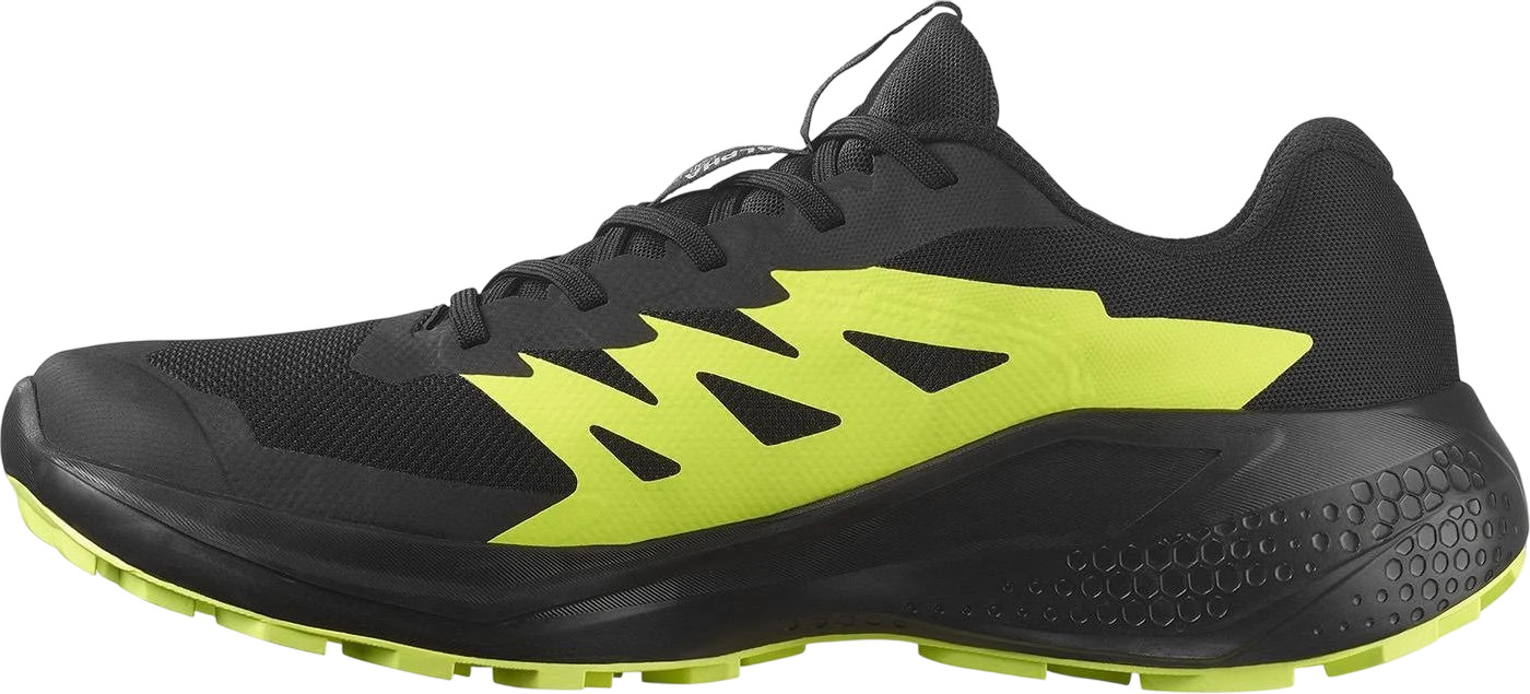 Кроссовки Salomon Alphaglide Gtx