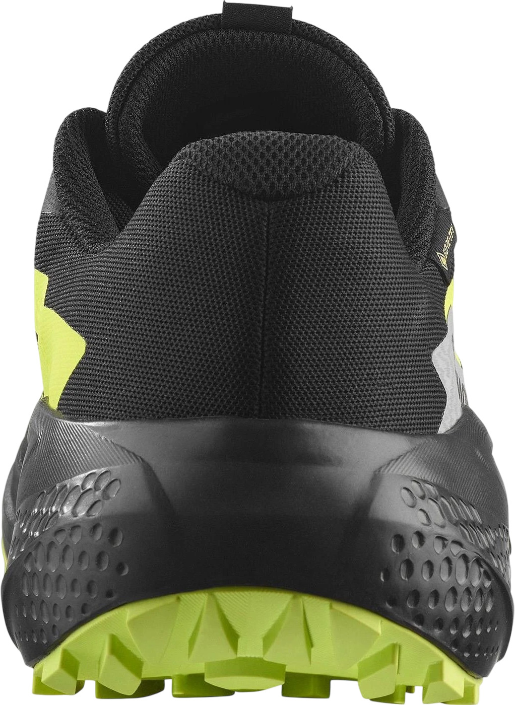 Кроссовки Salomon Alphaglide Gtx