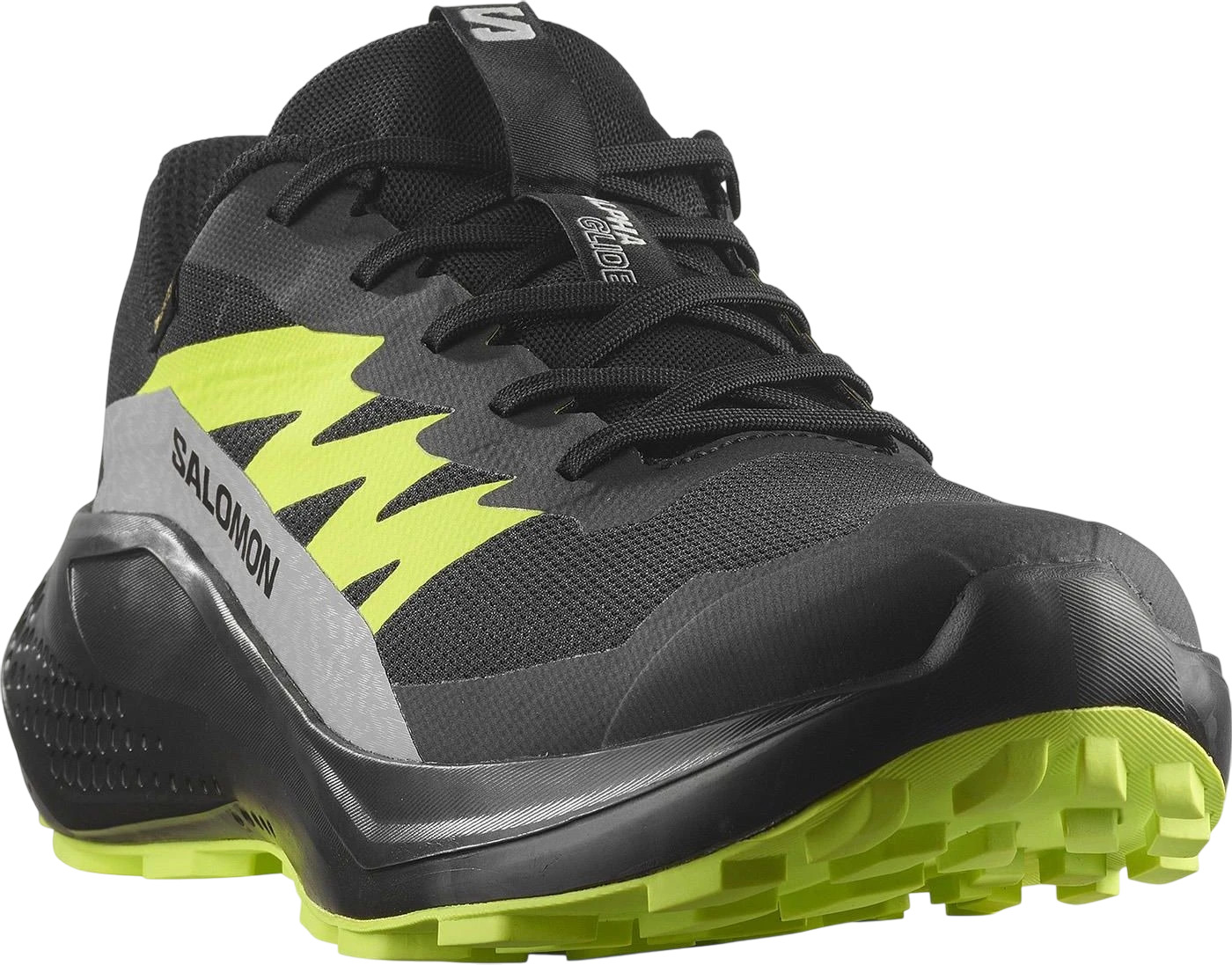 Кроссовки Salomon Alphaglide Gtx