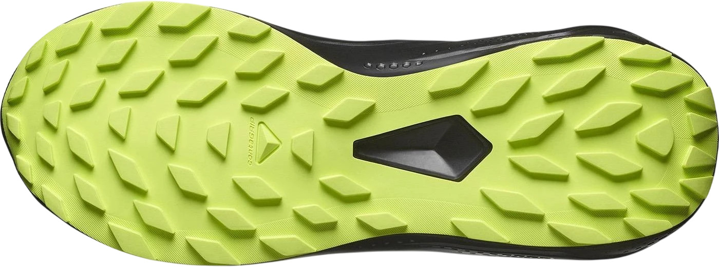 Кроссовки Salomon Alphaglide Gtx