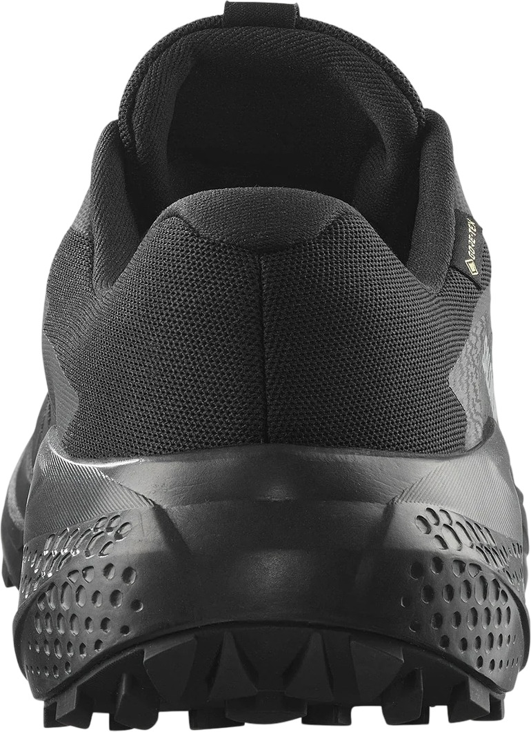 Кроссовки Salomon Alphaglide Gtx