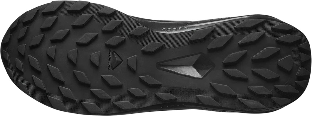 Кроссовки Salomon Alphaglide Gtx