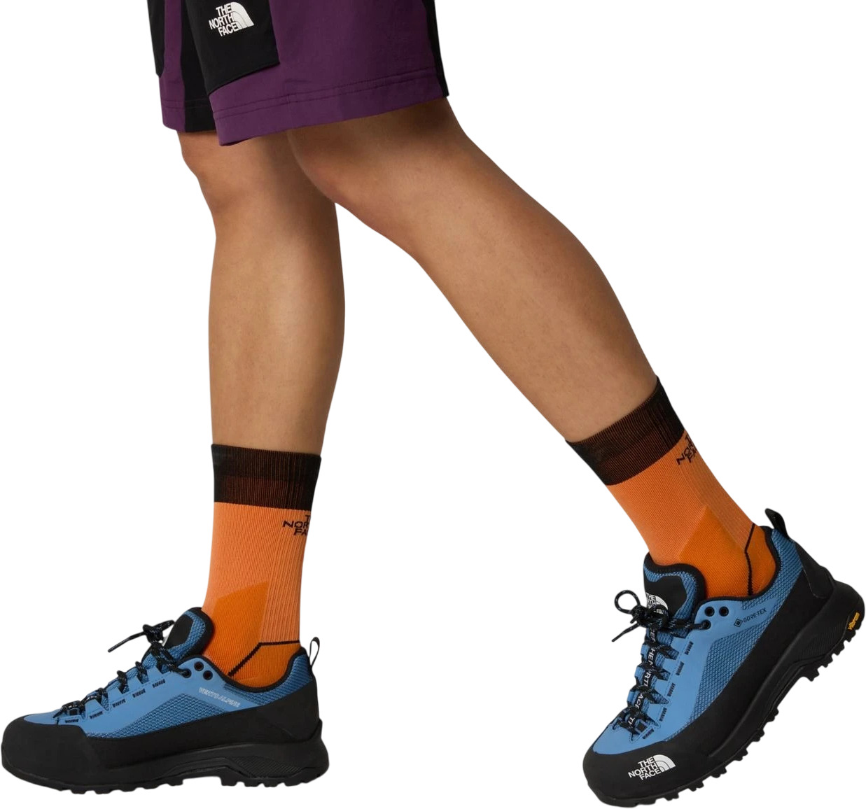 Кроссовки The North Face W VERTO ALPINE GORE-TEX