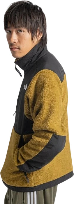 Толстовка The North Face M Retro Denali Jacket
