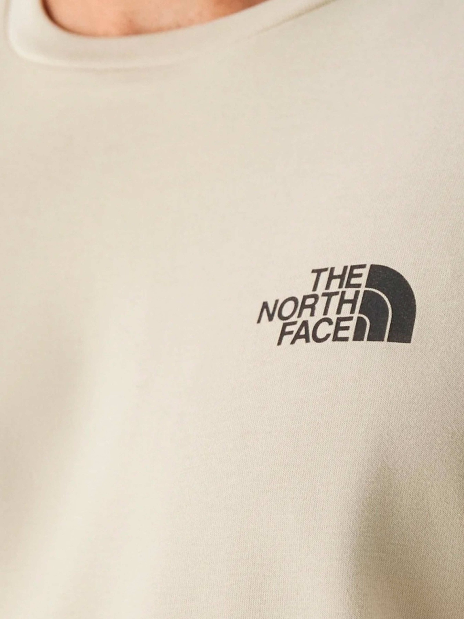 Футболка The North Face NF Mens Logowear Tops